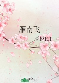 雁南飞